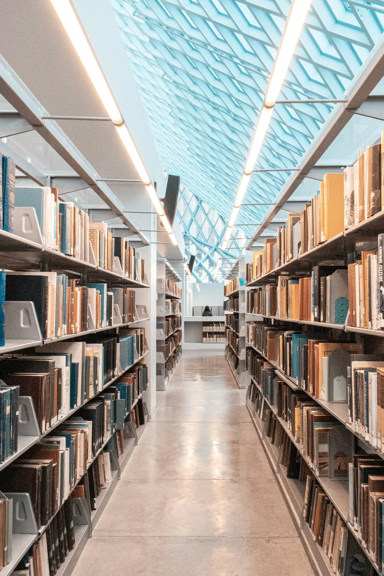 Carbon Gap launches the policy levers library, mapping 165 levers to scale carbon removal in Europe