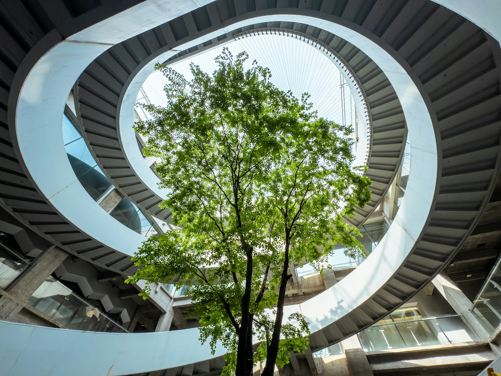Unlocking corporate demand for carbon removal starts with clear guidance